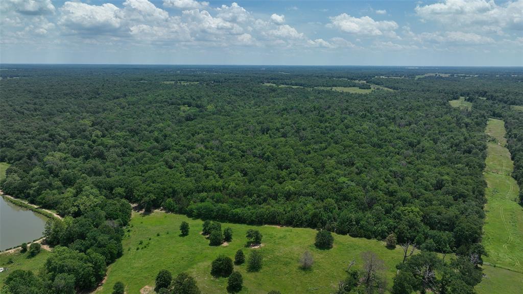 37100 County Road, Sumner, Texas image 11