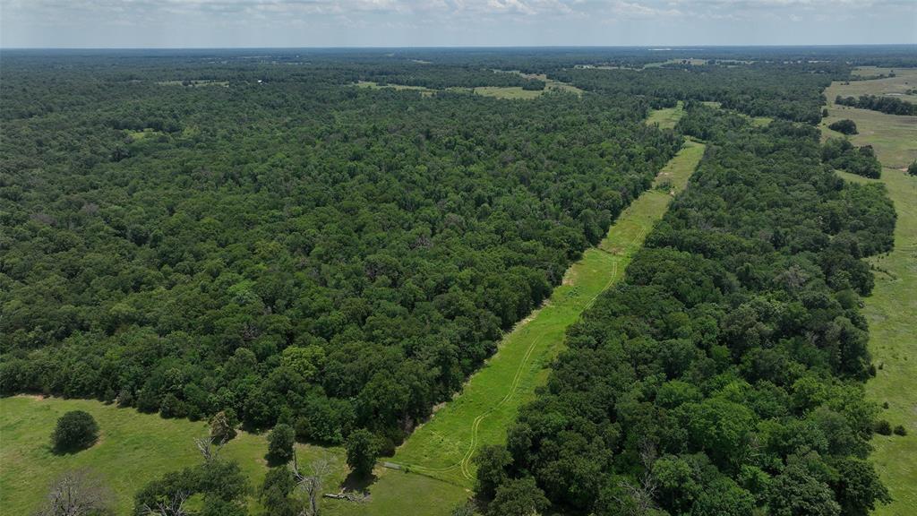 37100 County Road, Sumner, Texas image 9