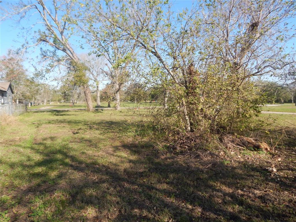 TBD W Miller Street, Angleton, Texas image 9