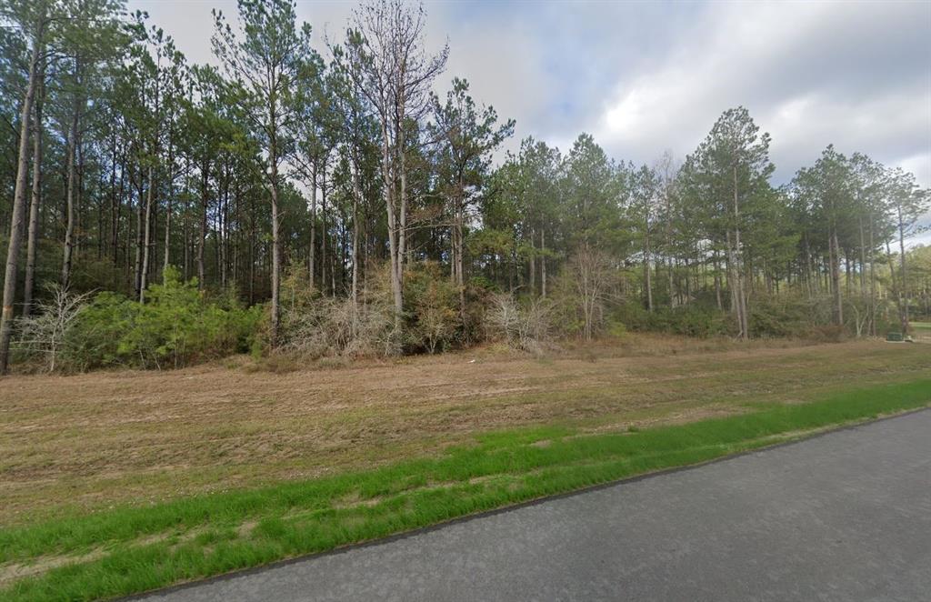10992 Ruger Road, Willis, Texas image 3