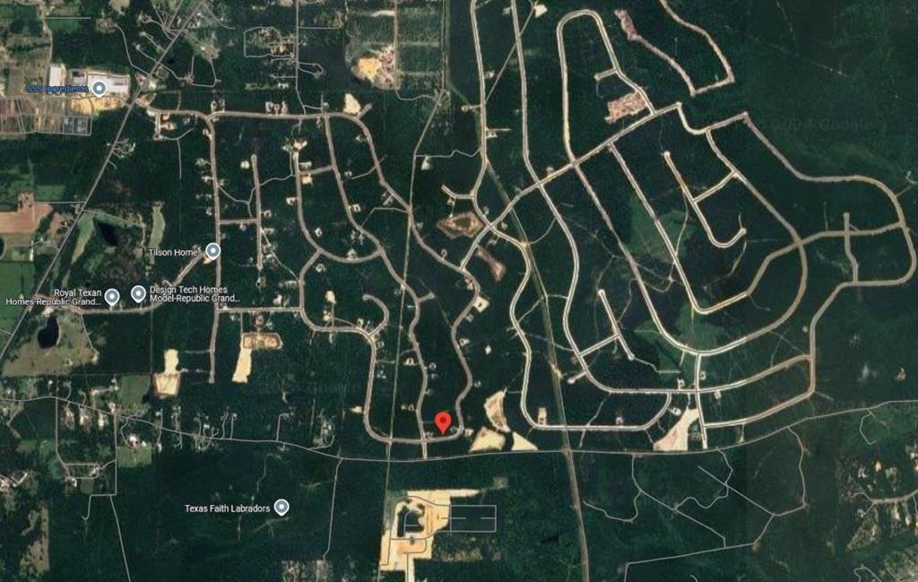 10992 Ruger Road, Willis, Texas image 2