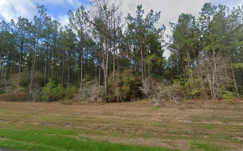 10992 Ruger Road, Willis, Texas image 4