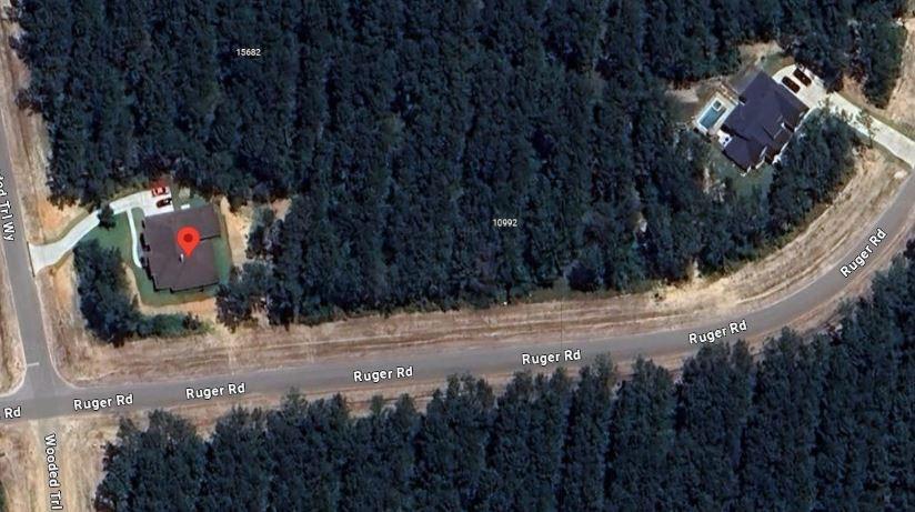 10992 Ruger Road, Willis, Texas image 1