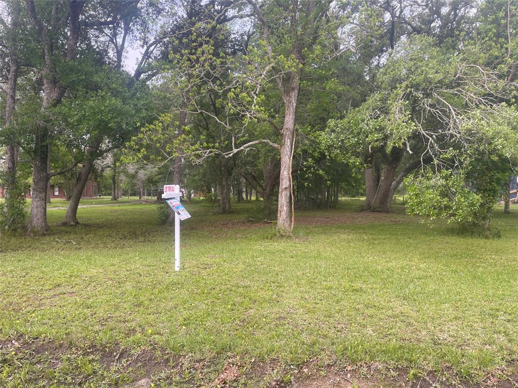 00 Patricia, Cr 377 Lane, Alvin, Texas image 1