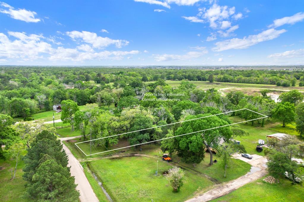 00 Patricia, Cr 377 Lane, Alvin, Texas image 12