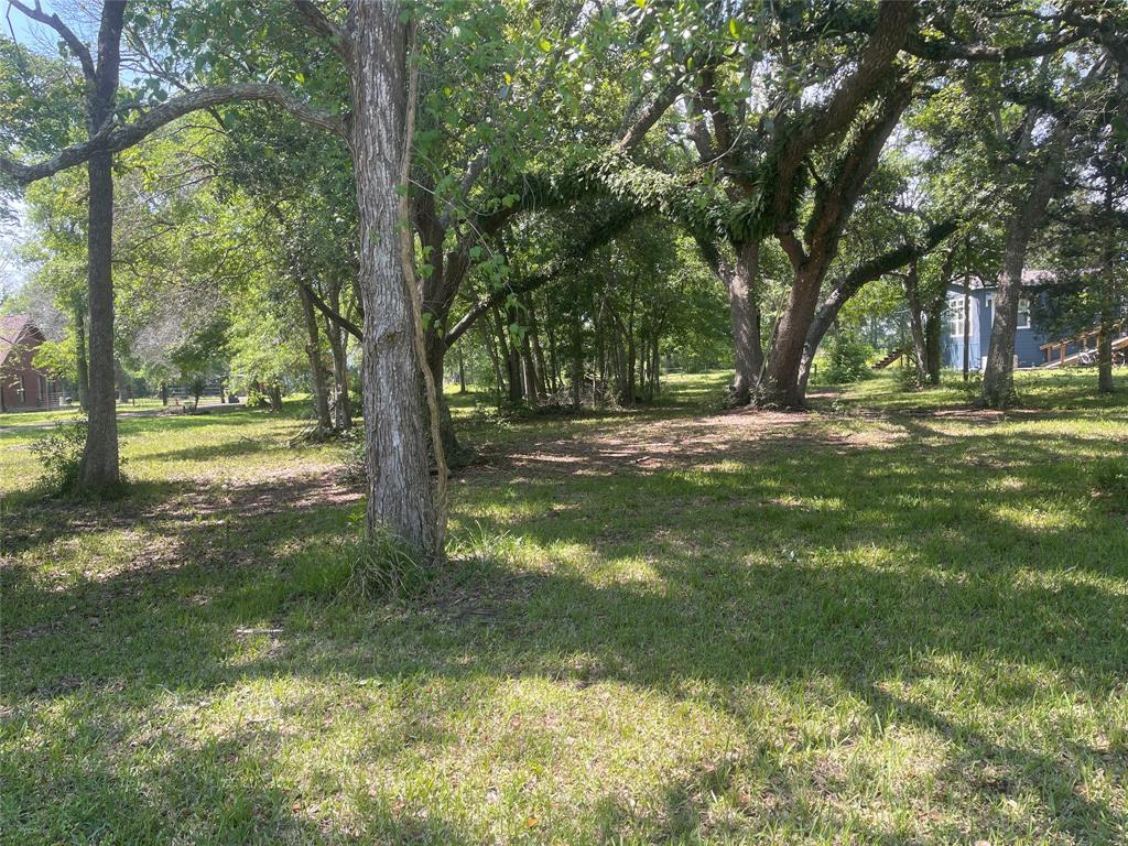 00 Patricia, Cr 377 Lane, Alvin, Texas image 6