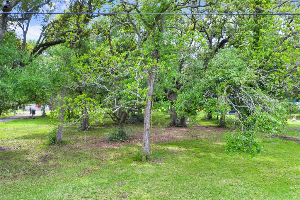 00 Patricia, Cr 377 Lane, Alvin, Texas image 8