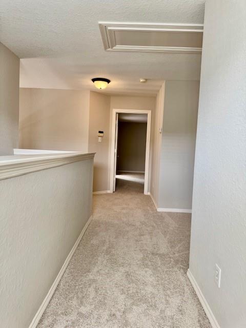 1119 Autumn Green Drive, Missouri City, Texas image 16