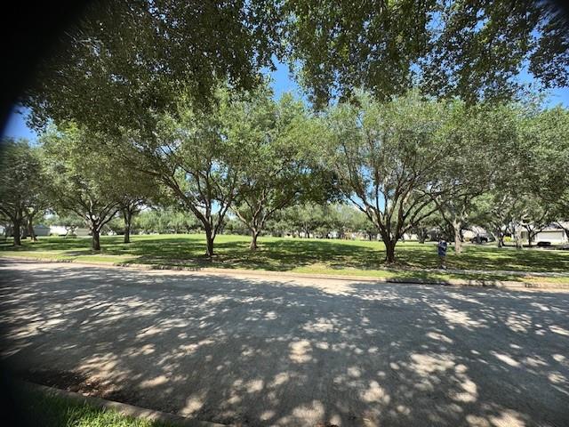1119 Autumn Green Drive, Missouri City, Texas image 30