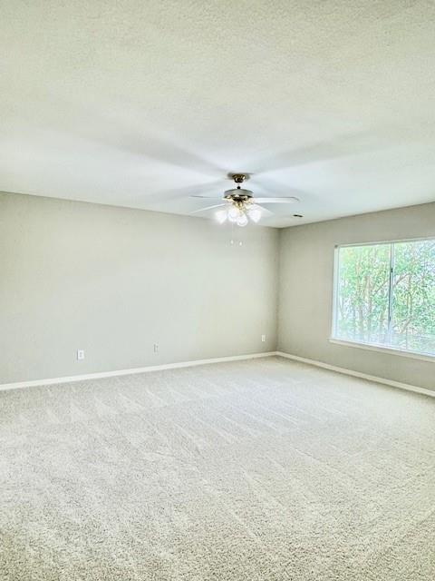 1119 Autumn Green Drive, Missouri City, Texas image 21