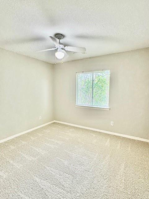 1119 Autumn Green Drive, Missouri City, Texas image 25