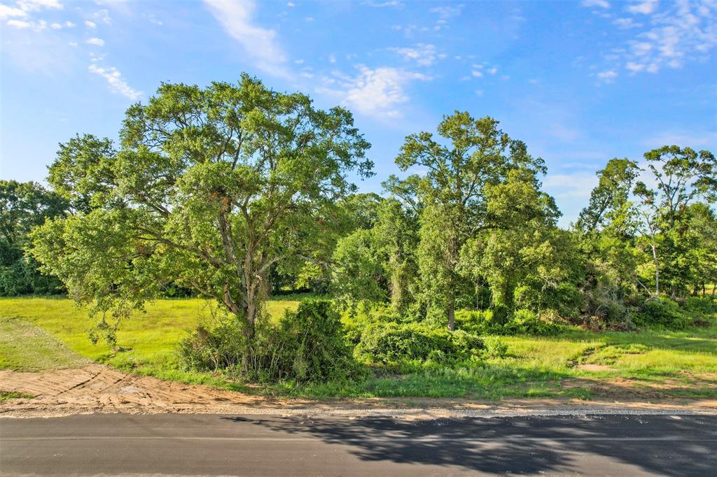 24827 Two Rivers Road, Montgomery, Texas image 9