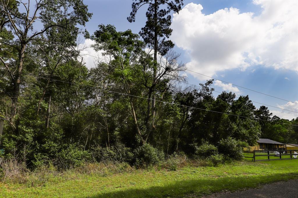 TBD Rollingwood Loop, Conroe, Texas image 17