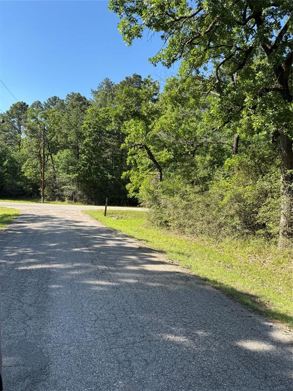 15 Wood Harbor, Trinity, Texas image 10