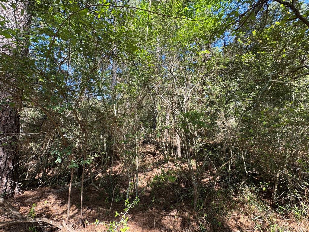 15 Wood Harbor, Trinity, Texas image 7
