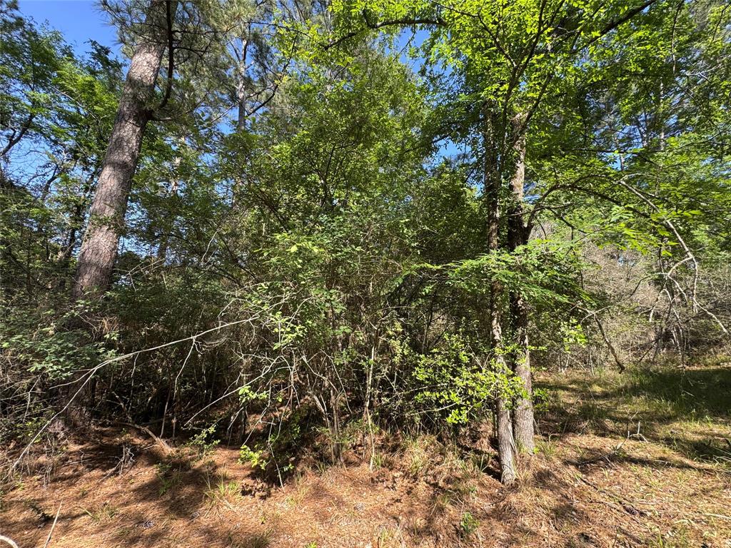 15 Wood Harbor, Trinity, Texas image 6