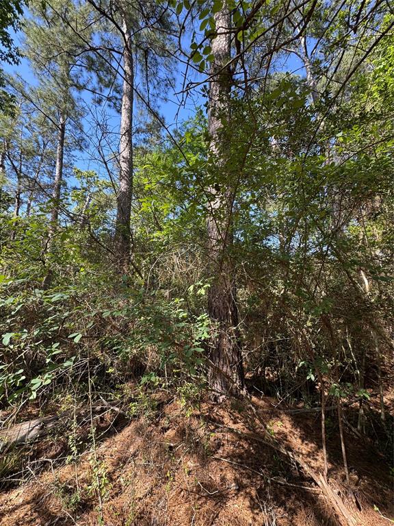 15 Wood Harbor, Trinity, Texas image 8