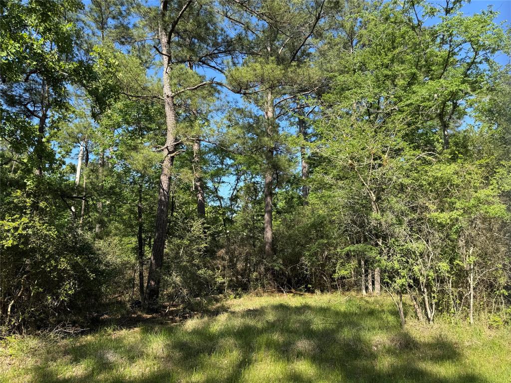 15 Wood Harbor, Trinity, Texas image 4