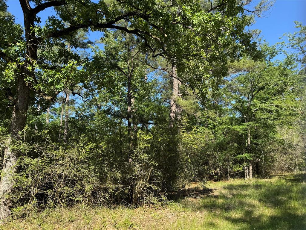 15 Wood Harbor, Trinity, Texas image 3