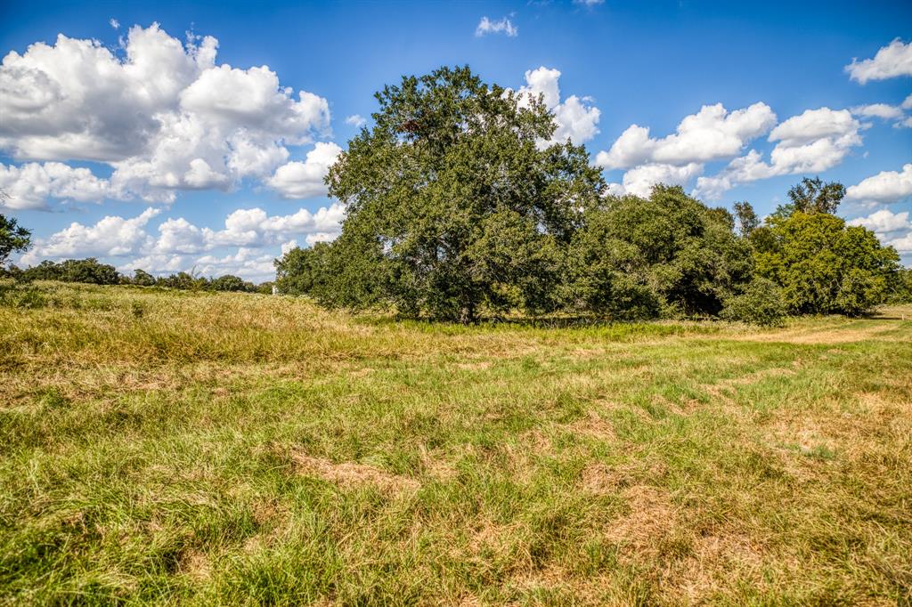 5455 Wolff Road, Round Top, Texas image 39