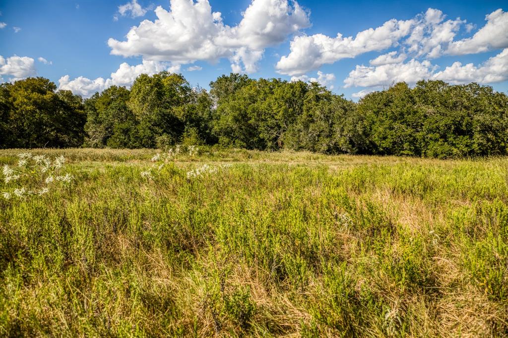 5455 Wolff Road, Round Top, Texas image 40