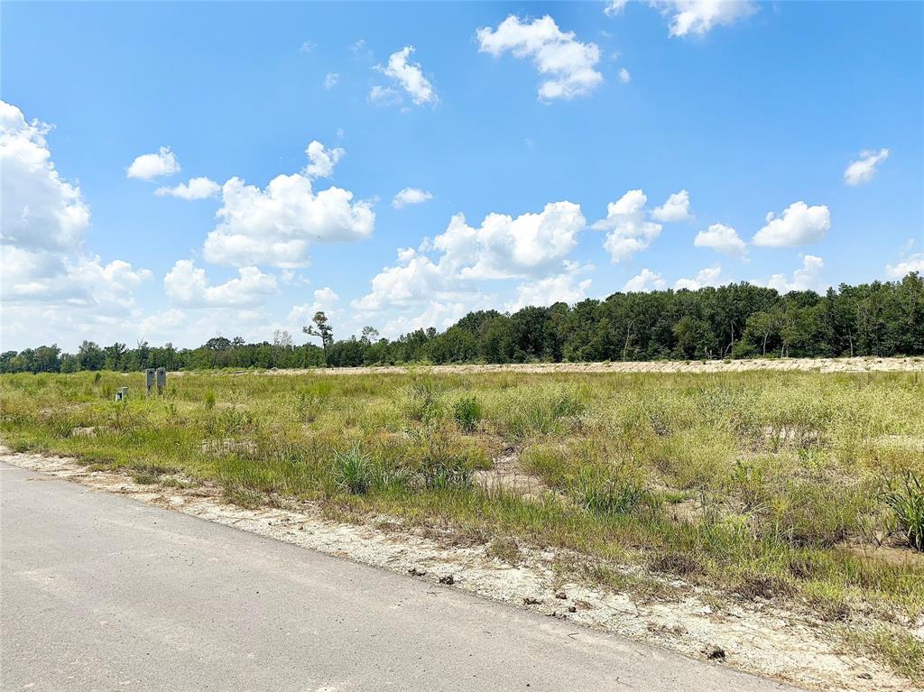 3072 Road 66124, Dayton, Texas image 8