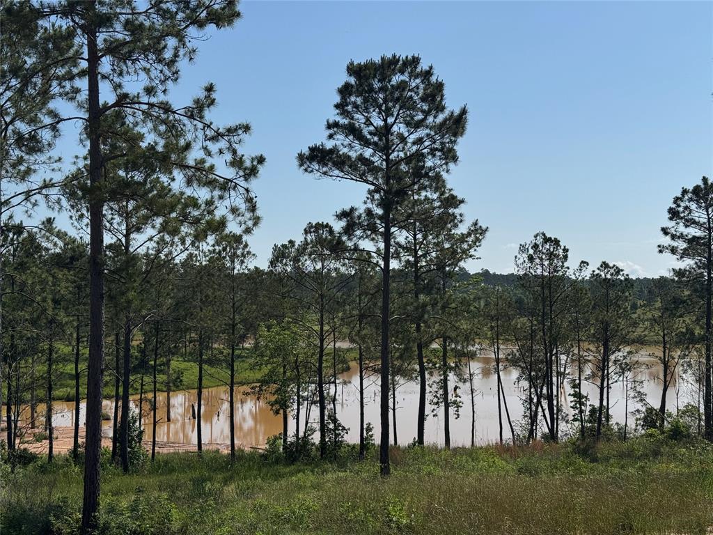 TBD Western Road, Livingston, Texas image 1