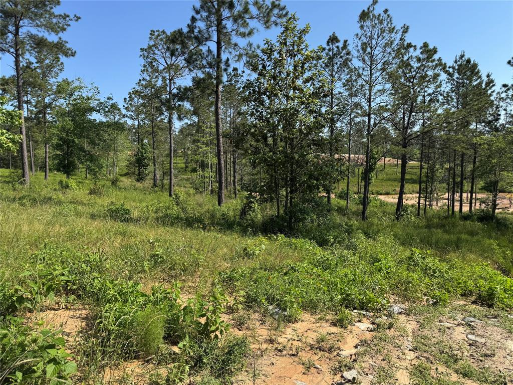 TBD Western Road, Livingston, Texas image 4
