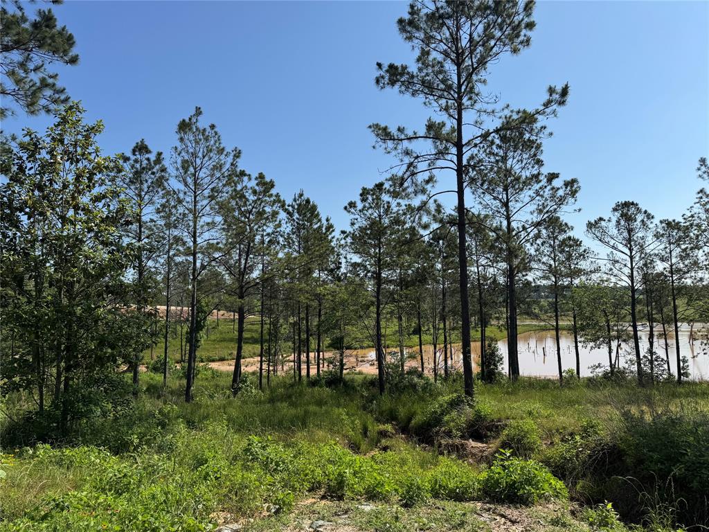 TBD Western Road, Livingston, Texas image 3