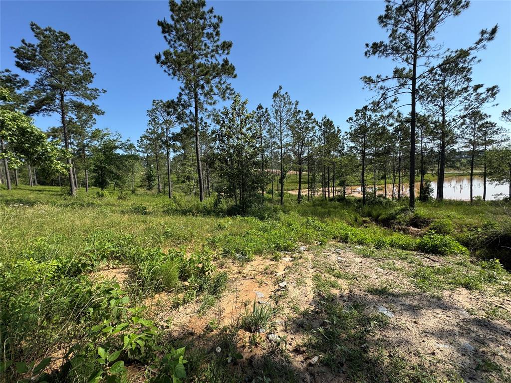 TBD Western Road, Livingston, Texas image 5