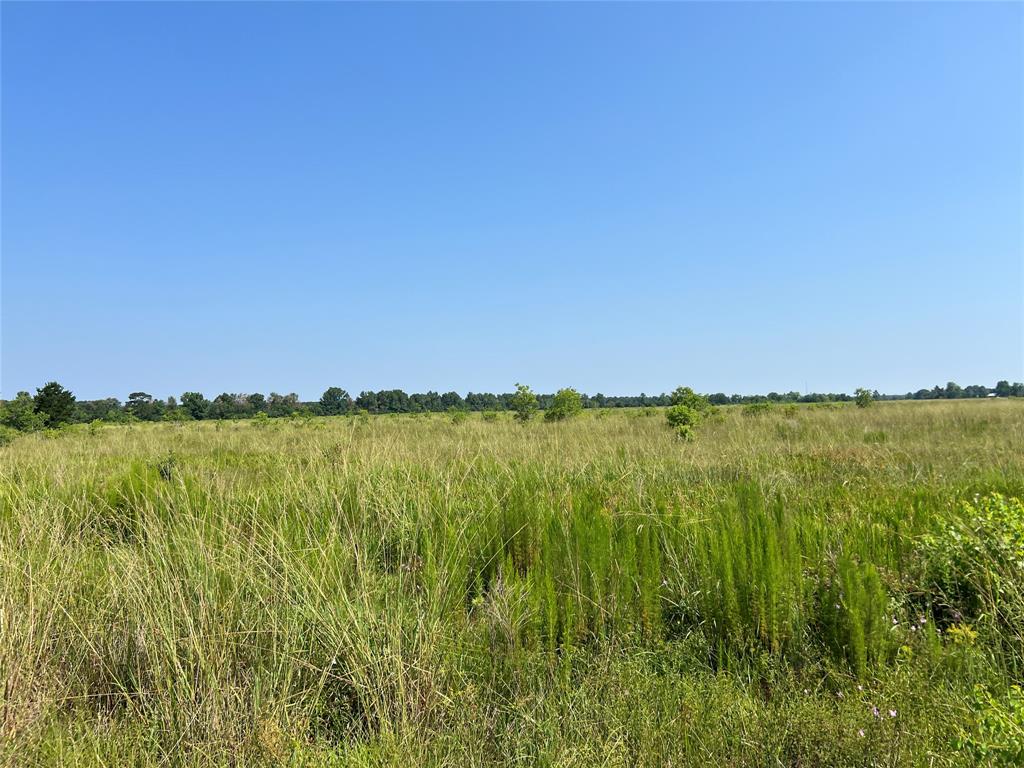 004 County Road 2315, Dayton, Texas image 1