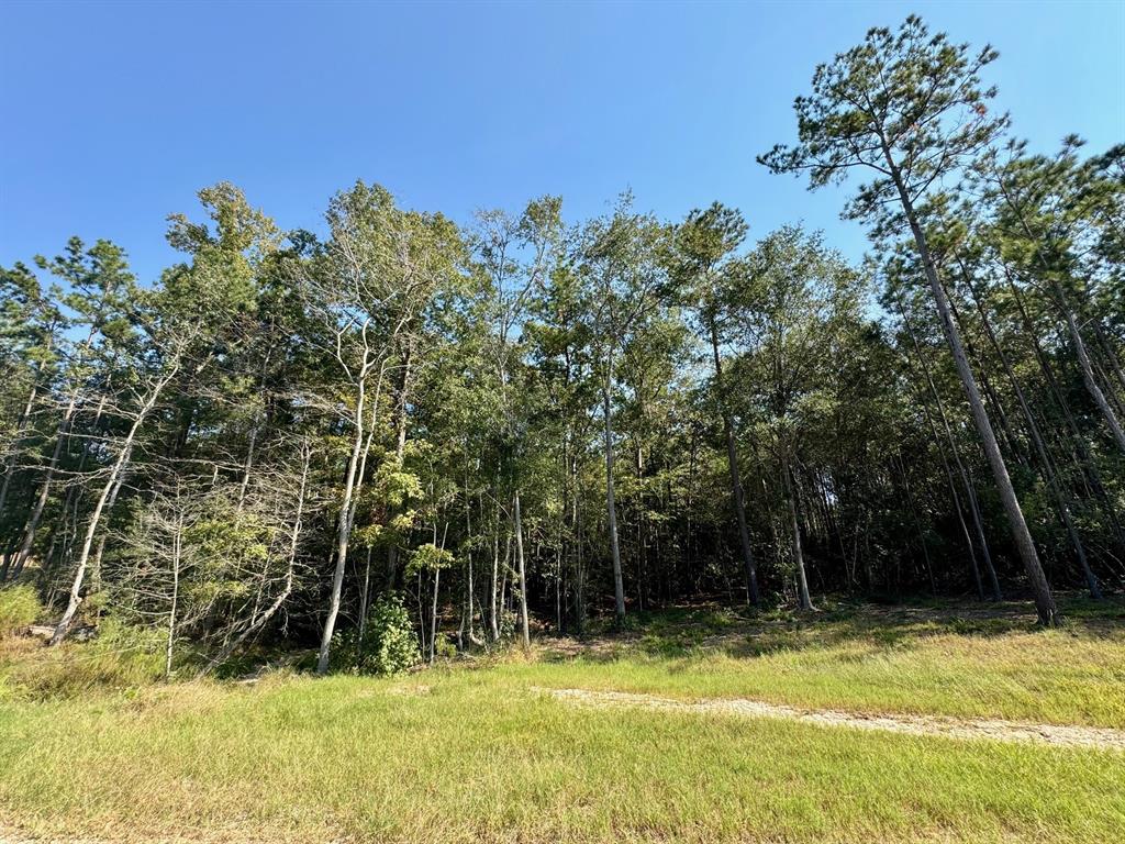 Lot 1 Stonebrook Drive, Livingston, Texas image 2