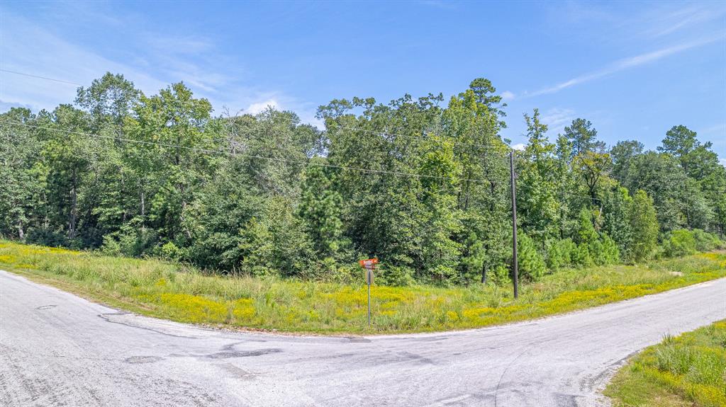 TBD Hereford Trail, Huntsville, Texas image 13