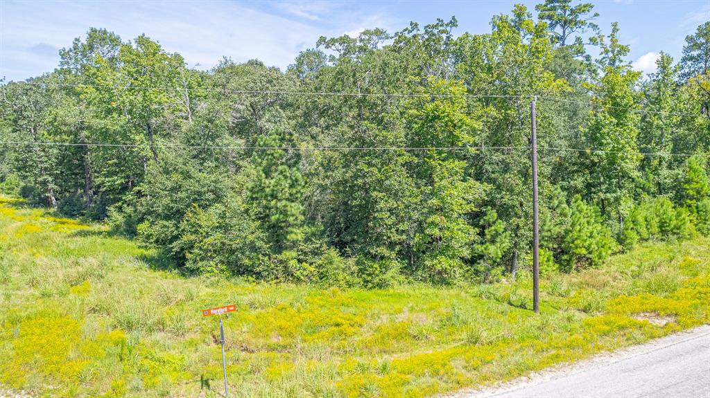 TBD Hereford Trail, Huntsville, Texas image 10