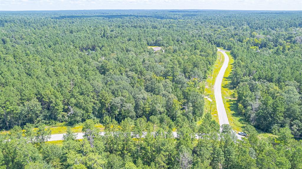 TBD Hereford Trail, Huntsville, Texas image 8