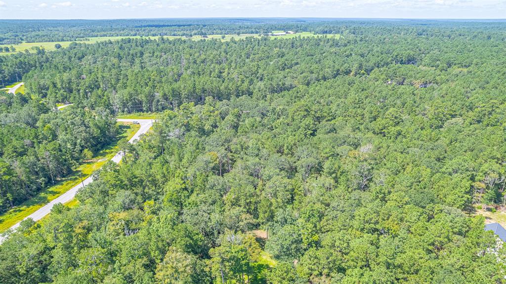 TBD Hereford Trail, Huntsville, Texas image 6
