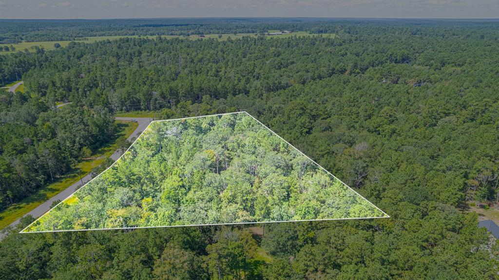 TBD Hereford Trail, Huntsville, Texas image 15