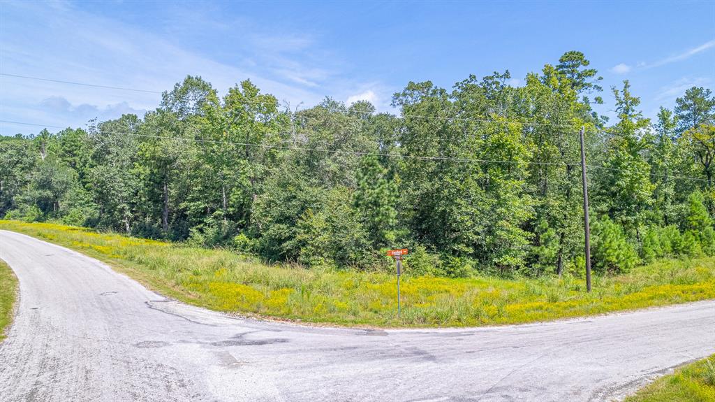 TBD Hereford Trail, Huntsville, Texas image 12