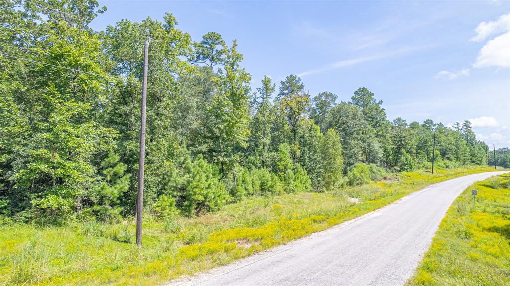 TBD Hereford Trail, Huntsville, Texas image 14