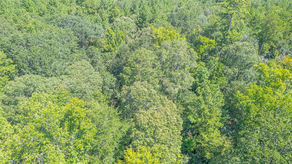TBD Hereford Trail, Huntsville, Texas image 9