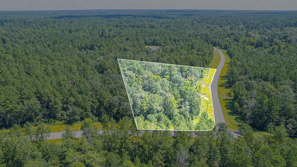 TBD Hereford Trail, Huntsville, Texas image 17