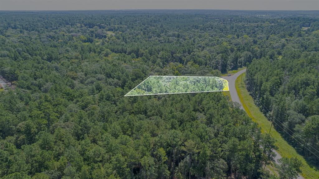 TBD Hereford Trail, Huntsville, Texas image 16