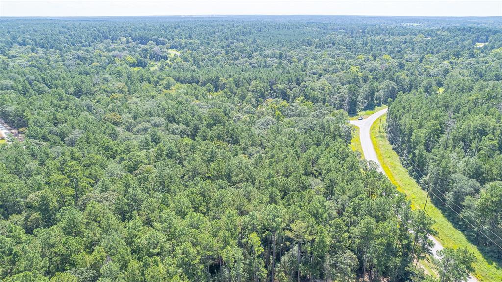 TBD Hereford Trail, Huntsville, Texas image 7