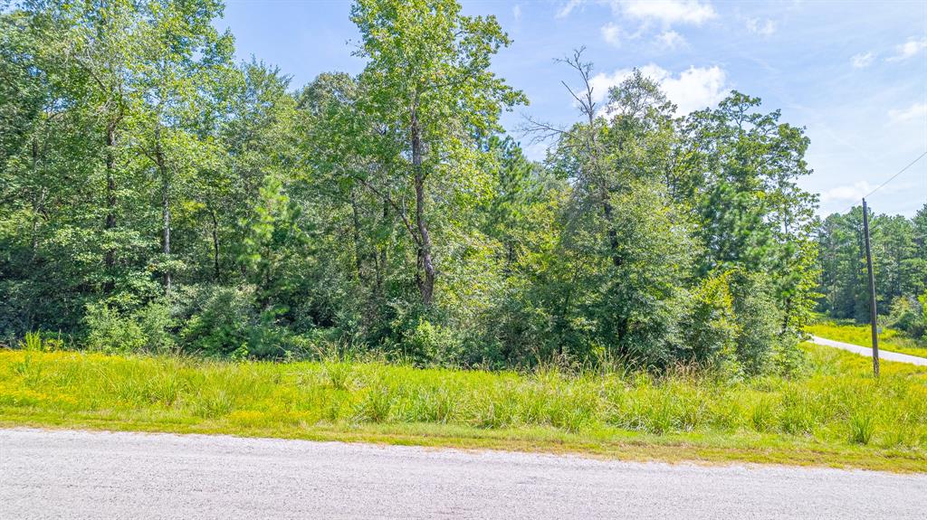 TBD Hereford Trail, Huntsville, Texas image 11