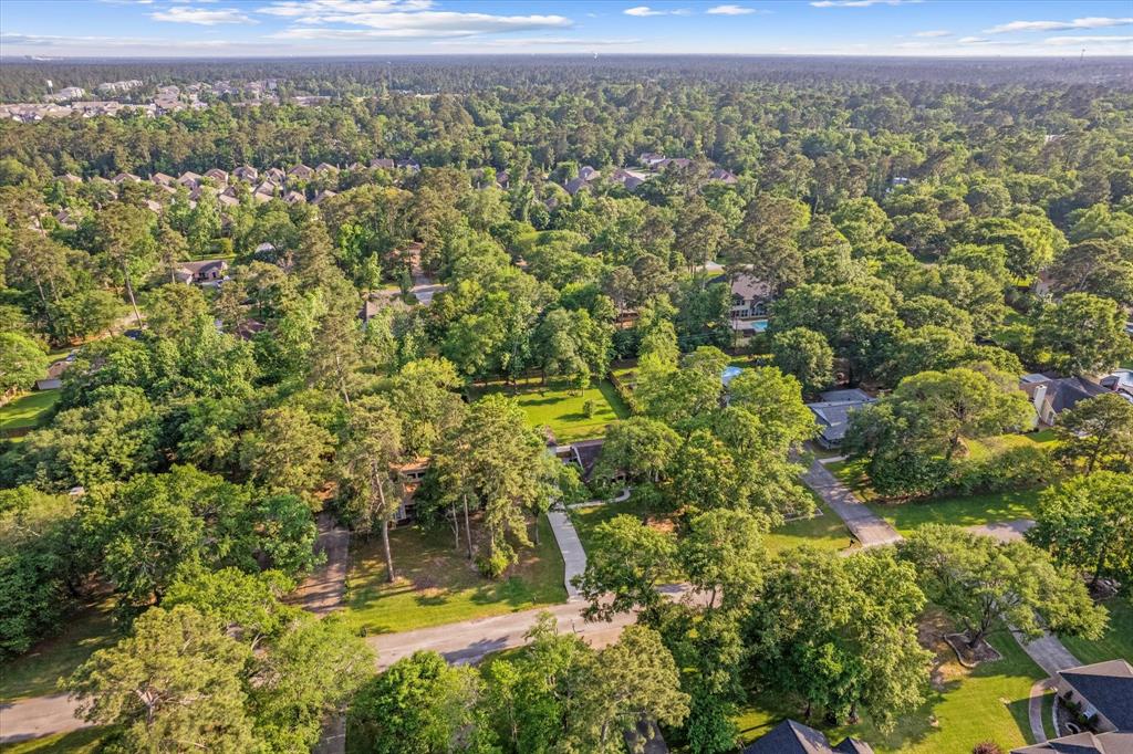 2453 Ripplewood Drive, Conroe, Texas image 3
