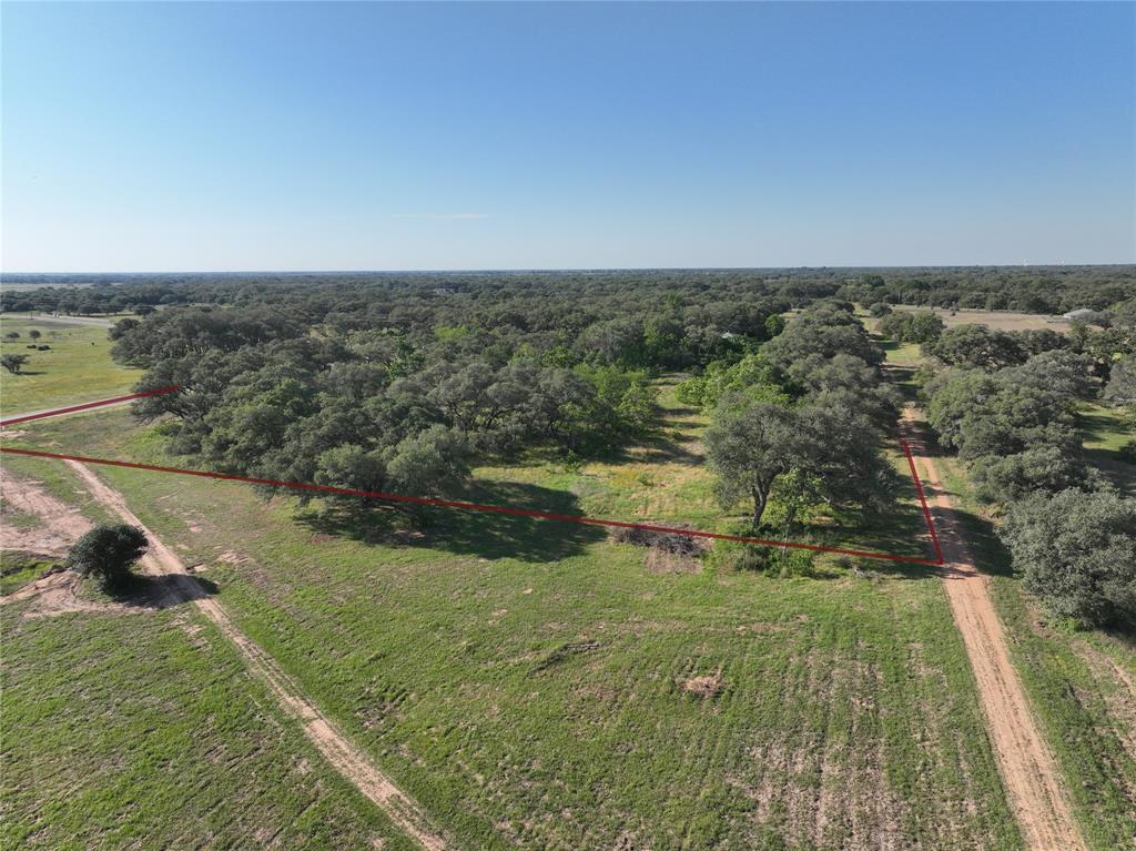 785 Gadwall Lane, Columbus, Texas image 6