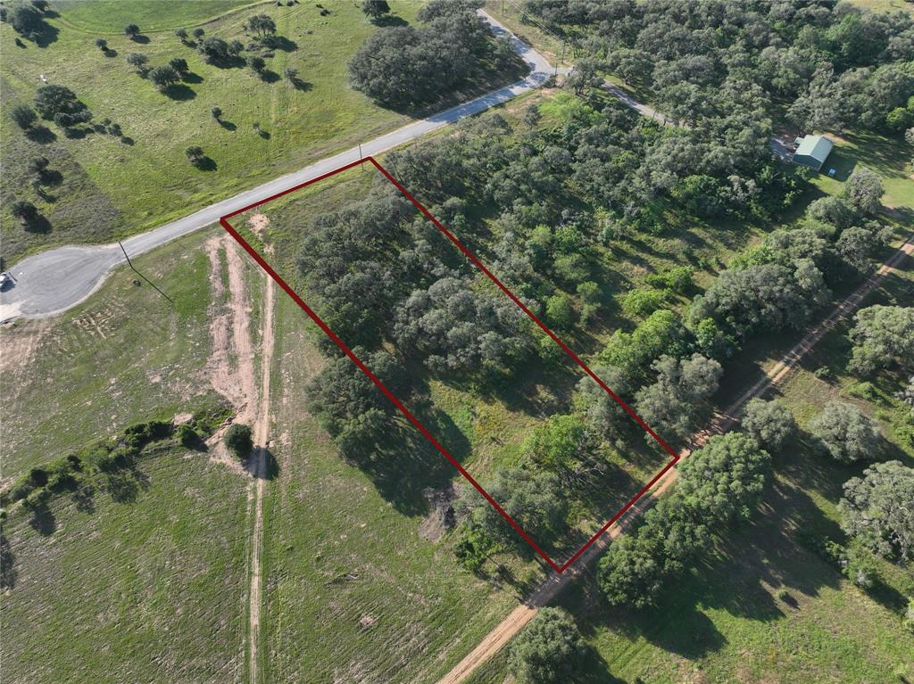 785 Gadwall Lane, Columbus, Texas image 7