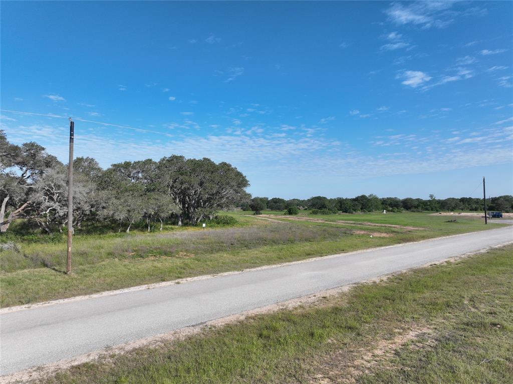 785 Gadwall Lane, Columbus, Texas image 9