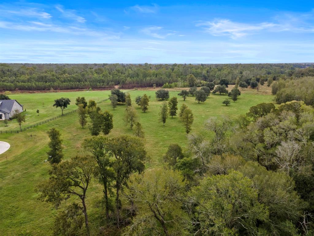 Riverbend Court, Fulshear, Texas image 13