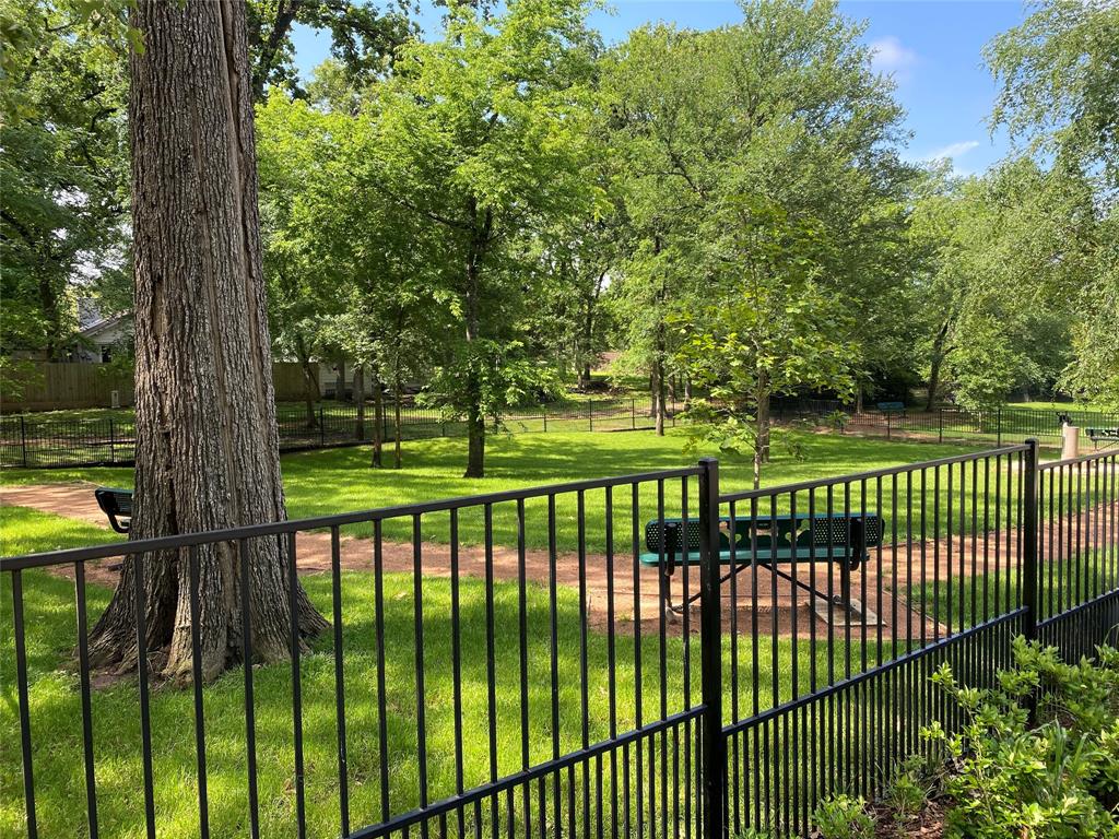 11831 Thoreau Drive, Montgomery, Texas image 41